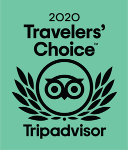 Tripadvisor Travellers Choice award 2020